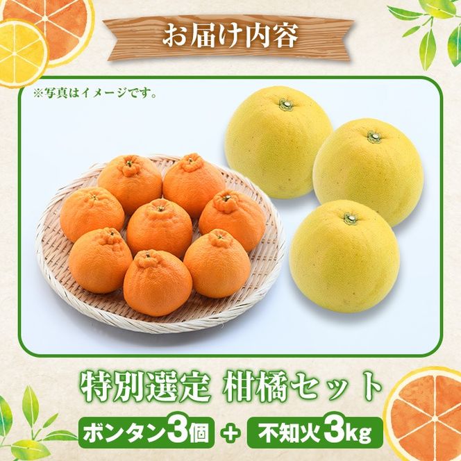 ＜先行予約受付中！2026年1月以降順次発送予定＞鹿児島県阿久根市産！特別選定 柑橘セット(ボンタン3個・不知火3kg) 国産 果物 フルーツ かんきつ ノーワックス【松永青果】akn053-26
