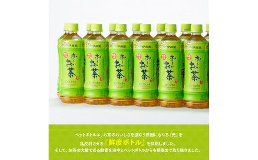 おーいお茶　緑茶600ml×48本 PET【飲料 飲み物 ソフトドリンク お茶 ペットボトル 備蓄 送料無料】宮崎県 川南町 [D07352]