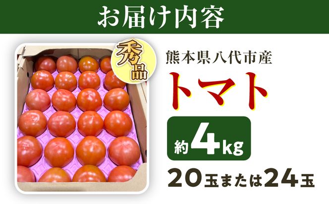 【先行予約】 熊本県八代市産 トマト 約4kg (20玉または24玉) とまと 野菜 やさい サラダ 旬 旬の野菜 新鮮 新鮮な野菜 熊本県 八代市 【2027年1月上旬より順次発送】