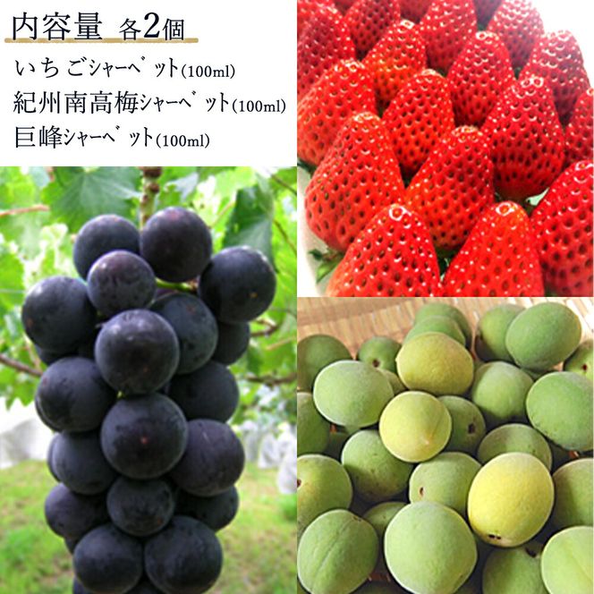 AV6001n_果物たっぷり ジェラート 6個 セット【デザート スイーツ ギフト セット シャーベット】