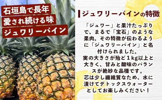 【マツコの知らない世界で絶賛！】《2026年4月～7月順次発送》【先行予約】パイナップル好きにおすすめ！満足のパイナップル4品種定期便【 沖縄 石垣 ピーチ ホワイトココ ジュワリー スナック パイン パイナップル 完熟 セット フルーツ デザート 食べ比べ 定期便 TV テレビ 紹介 マツコ 】 TF-37_R8
