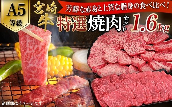 y{茧юszyA5z{苍 IēZbg v1.6kgiԐgE~j {苍 uh a  ē Ia ~ A5 {茧 юs