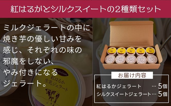 ＜焼き芋ジェラート2種セット（10個入り）＞翌月末迄に順次出荷【 ジェラート アイス　アイスクリーム アイスミルク 詰め合わせ セット スイーツ デザート さつまいも サツマイモ スイートポテト 生乳 氷菓 】【b0923_mf】