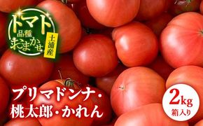 トマト「プリマドンナ」・「桃太郎」・「かれん」ギュッと美味しさ詰まったトマト 2kg 箱入り ※離島への配送不可 ※2026年2月～4月下旬頃に順次発送予定