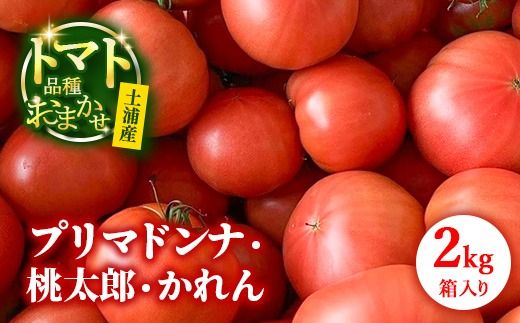 トマト「プリマドンナ」・「桃太郎」・「かれん」ギュッと美味しさ詰まったトマト 2kg 箱入り ※離島への配送不可 ※2026年2月～4月下旬頃に順次発送予定