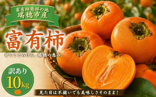 富有柿 訳あり 10kg | 柿 富有柿 かき カキ フルーツ 果物 スイーツ おやつ 訳あり 訳アリ わけあり 規格外 家庭用 家用 不揃い ふぞろい 産地直送 岐阜 瑞穂市 送料無料 ※2026年11月～発送