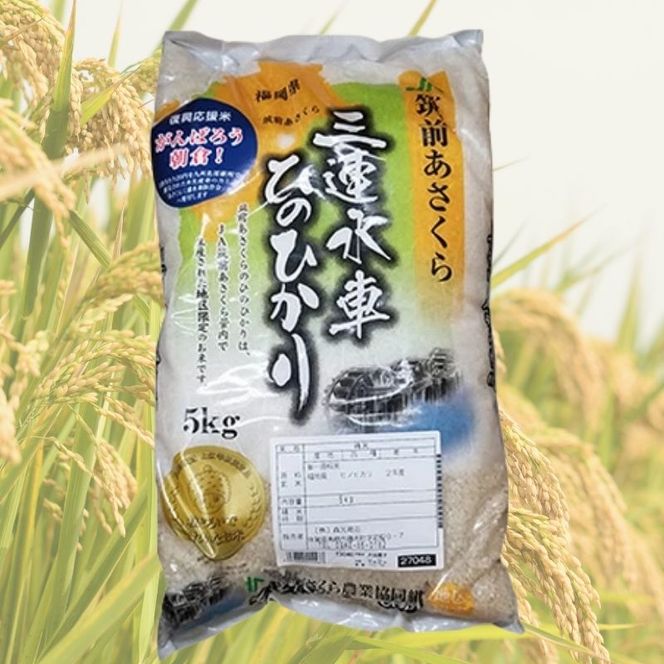 米 ひのひかり 5kg 筑前あさくら農協 お米 ヒノヒカリ