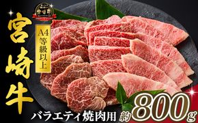 【西ノ原牧場直送】大人気！A4等級以上宮崎牛バラエティ焼肉用 800g（国産 国産牛 肉 牛肉 宮崎牛 黒毛和牛 お肉 ロース 焼肉 内閣総理大臣賞4大会連続受賞 特別提供）