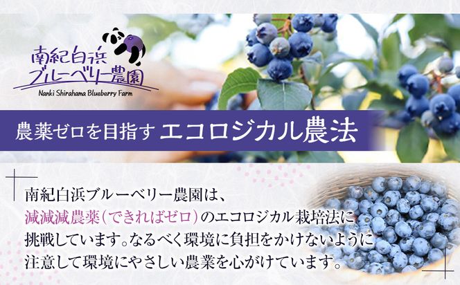 南紀白浜産ブルーベリー 約400g 304018_Y008