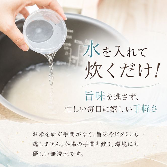 【令和8年産 先行予約】無洗米「12カ月定期便」食味鑑定士厳選！３０kg（５kg×６）×12回 白米 安心 安全 こだわり 米 コシヒカリ 定期 新潟県 十日町市