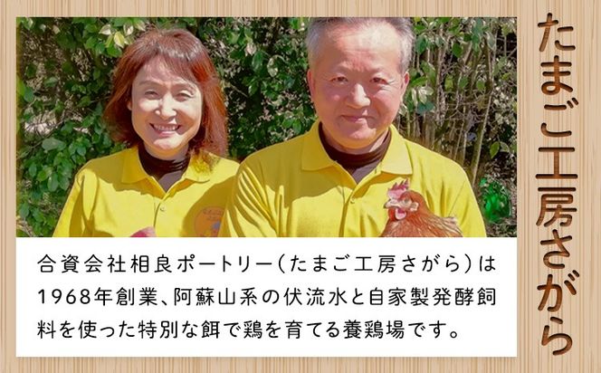 卵 大津町産 ナッツエッグ 有精卵 30個 定期便 あり 3回 6回 12回 合資会社相良ポートリー《出荷時期をお選びください》熊本県 大津町 卵 鶏卵 たまご タマゴ 赤玉子 送料無料---oz_srp_5_30k---