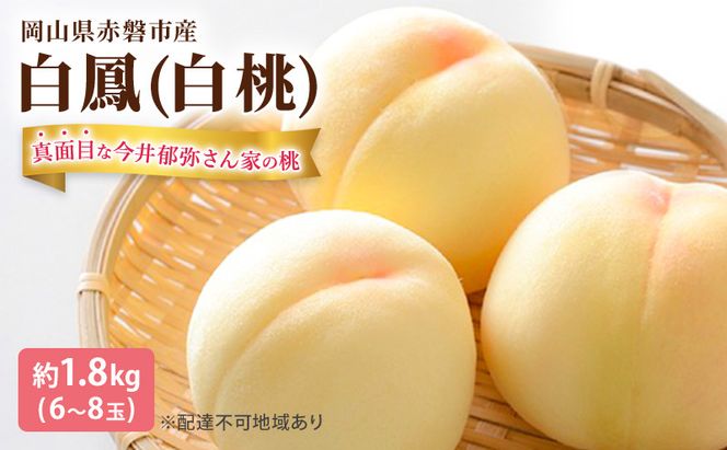 桃 2026年 先行予約 真面目な今井郁弥さん家の桃 白桃 白鳳 約1.8kg 6～8玉 フルーツ 果物 岡山 赤磐市産
