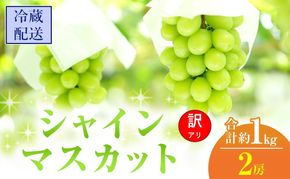【2026年 先行予約】【訳あり品】シャインマスカット 2房 合計約1kg 冷蔵配送 ぶどう 葡萄 フルーツ 果物 岡山 岡山のぶどう 岡山の果物 食後 デザート 産地直送 大粒 皮ごと 種無し 