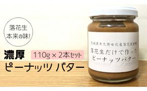 落花生 本来の味! 濃厚 ピーナッツ バター 110g × 2本セット 加工品 オーガニック ジャム ピーナッツクリーム ナッツ 冷蔵 パン ベーグル [BD006us]