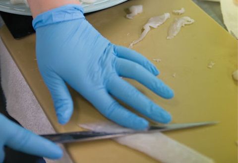 とらふぐ刺身セット　N013-YZC001