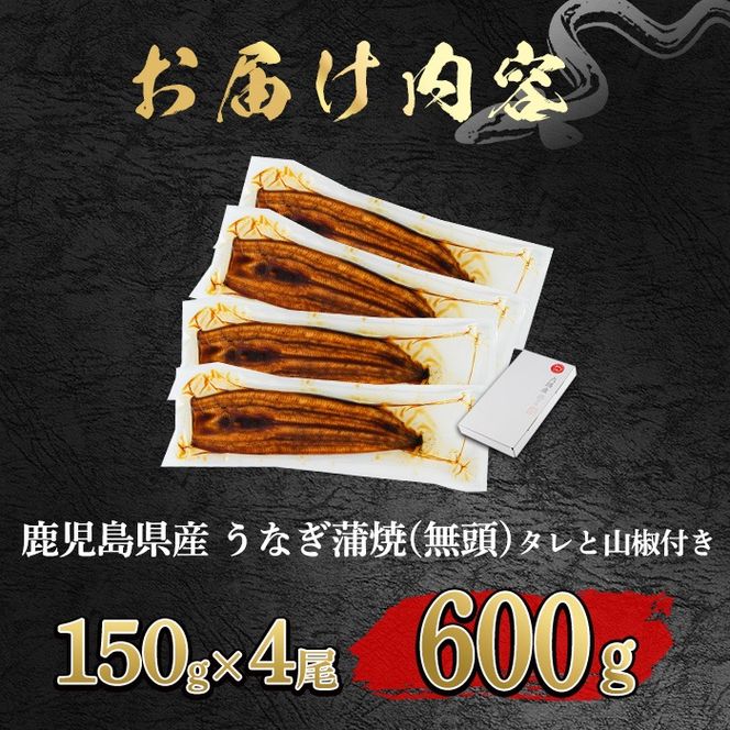 【0204348a-2608】＜8月上旬発送予定＞東串良町のうなぎ蒲焼(無頭)(4尾・計約600g・タレ、山椒付) うなぎ 高級 ウナギ 鰻 国産 蒲焼 蒲焼き たれ 鹿児島 ふるさと 人気 【アクアおおすみ】