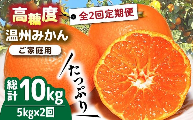 【2024年12月〜発送】【大満足！ 2回 定期便 】温州みかん 約5kg / みかん 南島原市 / 南島原果物屋 [SCV017]