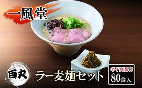 一風堂 白丸 ラー麦麺辛子高菜セット 80食入 豚骨ラーメン ラーメン とんこつ
