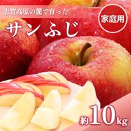 【2026年発送】志賀高原の麓で育った サンふじ （家庭用）約10kg りんご 10kg フルーツ 果物 デザート 長野