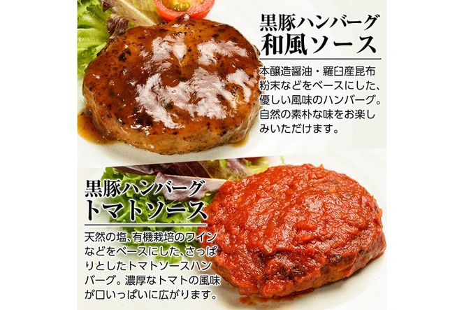 a007 鹿児島黒豚「短鼻豚」無添加ハンバーグセット合計5個！鹿児島黒豚肉を100％使用した手作り無添加ハンバーグ【鹿児島ますや】