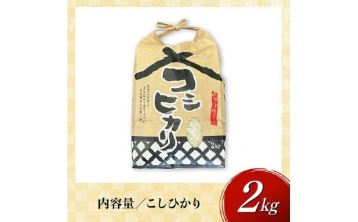 米 【令和7年産】宮崎県産米　村井農園産こしひかり（精米）2kg 【 米 お米 白米 精米 こしひかり 国産 宮崎県産 おにぎり 】☆[C10003]