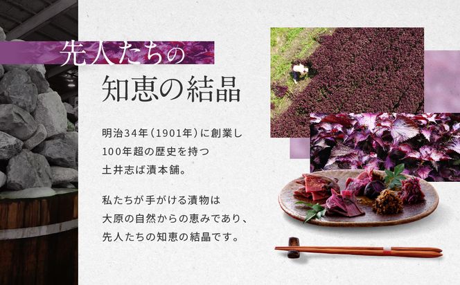 【土井志ば漬本舗】はんなり京漬物8種10点セット WS50(秋冬) ｜京都大原 老舗 漬物 有名店 人気セット［ 千枚漬 赤かぶ漬 志ば漬きざみ すぐききざみ 志そ漬きゅうりなど 8種10点 食べ比べ おすすめ 野菜 つけもの ギフト プレゼント 贈答 お取り寄せ 通販 送料無料 ふるさと納税 ］ 261009_A-AZ032