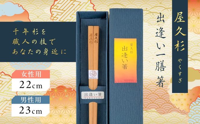 ＜選べる＞屋久杉 出逢い一膳箸 女性用（22cm）or男性用（23cm）　K042-007_SKU