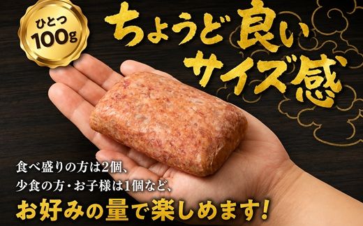松阪牛 生ハンバーグ 1kg ( 100g ✕ 10個 ) 【1-439】