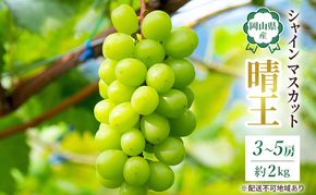 ぶどう 2026年 先行予約 岡山 名産  晴王 シャイン マスカット たっぷり2kg！9月上旬以降順次発送 ギフトにも ブドウ 葡萄  岡山県産 国産 フルーツ 果物 種なし 皮ごと 濃厚な甘み 上品な香り 