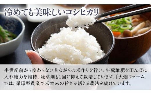 【 ファーム大畑 】お楽しみセット 米 お米 しいたけパウダー しいたけ 椎茸 まろ福しいたけ きくらげ [AK001ci]