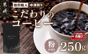 焙煎職人こだわりのコーヒー【粉】250g 小分けパック(ジッパー・バルブ付) ※中深煎り※ポスト投函≪みやこんじょ特急便≫_LA-3302-Q  _(都城市) コーヒー粉 250g×1パック 少量パック ジッパー・バルブ付き 保存に便利 ポスト投函 珈琲 選べる コーヒー ブラジル コロンビア インドネシア 宮崎県 都城市