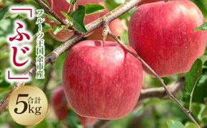 【2025年11月下旬より発送】フルーツ王国余市産「ふじ」5kg【ニトリ観光果樹園】りんご リンゴ 林檎 果物 アップル フルーツ お取り寄せ プレゼント 贈り物 ギフト 先行受付 北海道 余市町 _Y074-0151