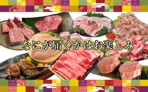【定期便・全12回】新春おたのしみ お年玉コース 金金（牛肉 豚肉 鶏肉 フルーツ 2026 スイーツ 先行予約 定期便 宮崎 小林市）