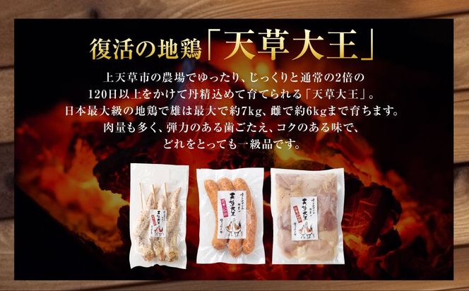 天草大王プレミアムバーべキューセット（大） 計6パック 天草大王 焼鳥 手羽先 串 ウインナー コロコロカット