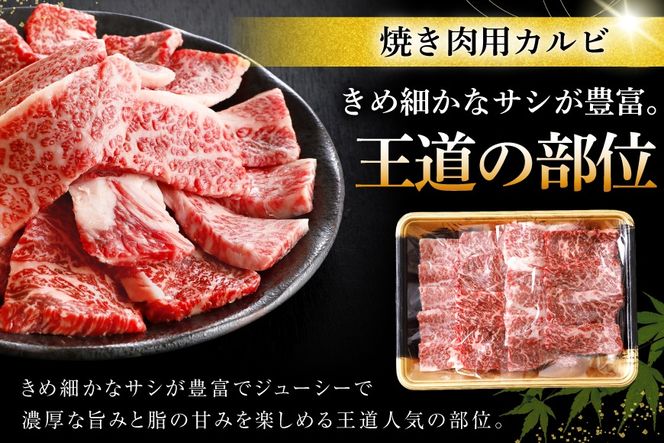 牛肉 仙台黒毛和牛 焼肉用 カルビ バラ 500g [カネダイ 宮城県 気仙沼市 20566331] 肉 和牛 A4 黒毛和牛 焼肉 バラ肉 お肉 国産 ブランド牛 A4ランク 国産牛 おにく ばら肉 旨み 甘み 500グラム