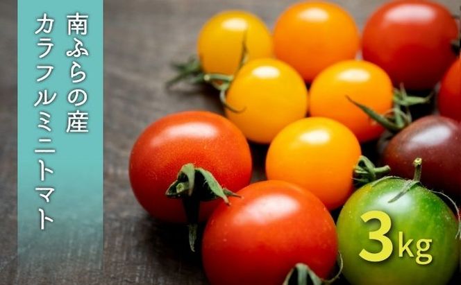 カラフル ミニトマト セット 3kg ≪北海道南富良野産≫ 北海道 南富良野町 2026年発送 先行予約 トマト 詰合せ ミックス ミックストマト 野菜 