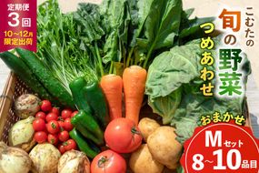 AJ433 【3回定期便】【10～12月限定出荷】こむたの旬の野菜 (8～10品目) おまかせMセット [ 野菜 やさい 旬 定期便 野菜セット 種類 人気 オススメ 新鮮 詰め合わせ 詰合せ こむた 小無田 青果 長崎県 島原市 ]
