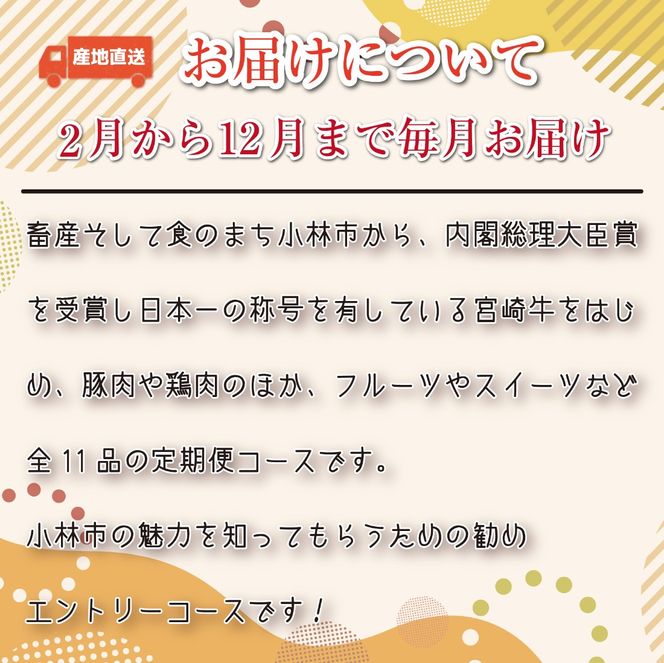 【定期便・全11回】日本一宮崎牛と小林市の魅力満載！！小林満足おためし定期便　20万円コース（国産 牛肉 国産牛 和牛 黒毛和牛 フルーツ お菓子 豚肉 鶏肉 キャビア 定期便）