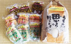 米 白米 ササニシキ 5kg 福幸米麺 9個 セット