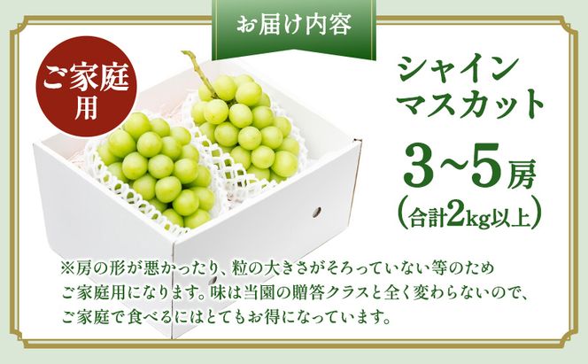 ぶどう 2026年 先行予約 ［ご家庭用］ シャイン マスカット3～5房（合計2kg以上） ブドウ 葡萄  岡山県産 国産 フルーツ 果物 OEC KINGDOM ぶどう家 果物類 