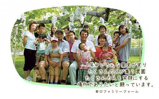 【田口ﾌｧﾐﾘｰﾌｧｰﾑ】旬の桃 2L～4L(14～24玉)(2026年6月中旬発送開始) N053-YZB710