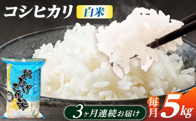 【3回定期便】コシヒカリ 白米 5kg×3か月 / 脇野コンバイン[AECP024]