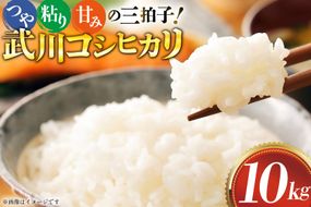 米 武川 コシヒカリ 10kg [韮崎翠緑 山梨県 韮崎市 20745564] こしひかり ふるさと納税 お米 おこめ こめ コメ 10キロ ご飯 ごはん 白米 国産