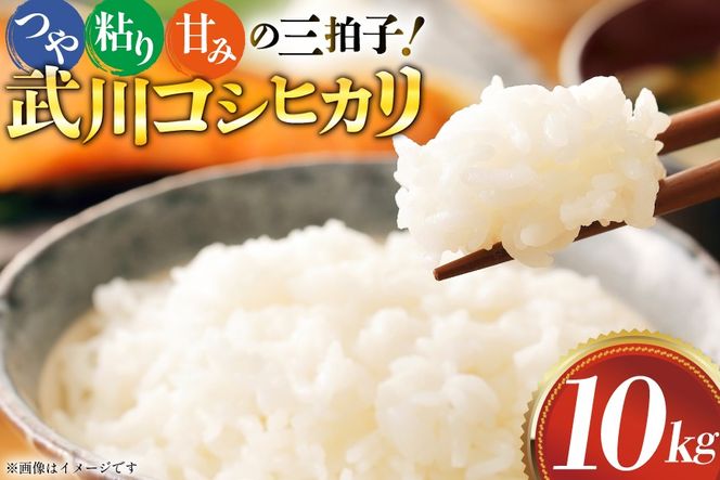 米 武川 コシヒカリ 10kg [韮崎翠緑 山梨県 韮崎市 20745564] こしひかり ふるさと納税 お米 おこめ こめ コメ 10キロ ご飯 ごはん 白米 国産