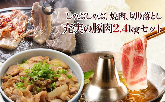 宮崎の旨みを凝縮！豚肉バラエティセット2.4kg（真空パック小分け）切り落とし・しゃぶしゃぶ・焼肉を一度に