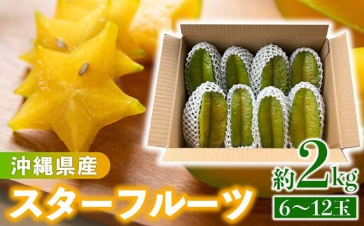 沖縄県産 スターフルーツ約2kg(6〜12玉) - 果物 フルーツ 南国 スターフルーツ 五歛子 厳選 沖縄県 八重瀬町