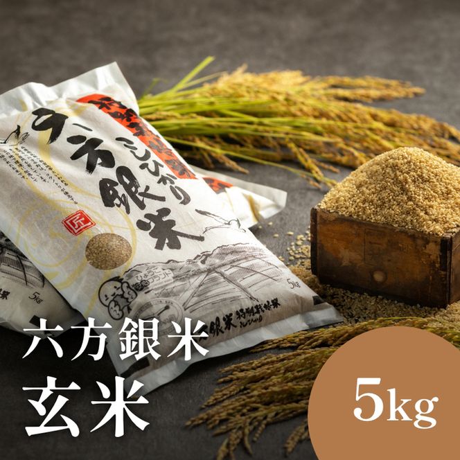 令和7年産 減農薬米 特別栽培米 六方銀米 コシヒカリ 玄米 5kg / 減農薬 玄米  お米 5キロ 米 コウノトリ米 コメ こめ ご飯 ライス こしひかり 兵庫県産