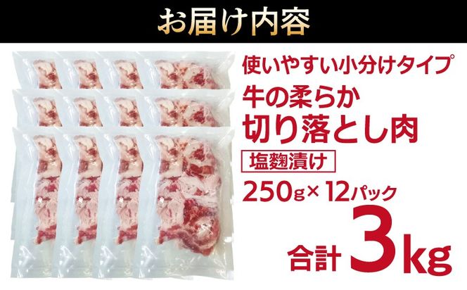 G3391 牛肉 切り落とし 塩麹漬け 合計3kg【味付け 小分け 焼くだけ 簡単調理 BBQ 牛肉 250g×12袋】