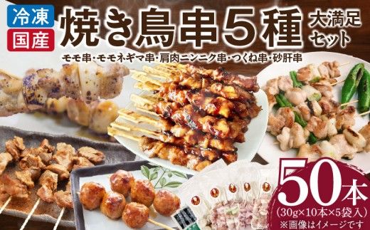 【大満足セット】冷凍国産鶏 焼き鳥串 人気の5種 合計50本セット 小分け パック［129T07］