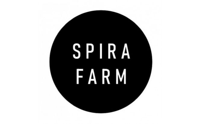 【SPIRA FARM】旬の野菜と玉ねぎドレッシングのセット（１３～１５品） 322032_FY006